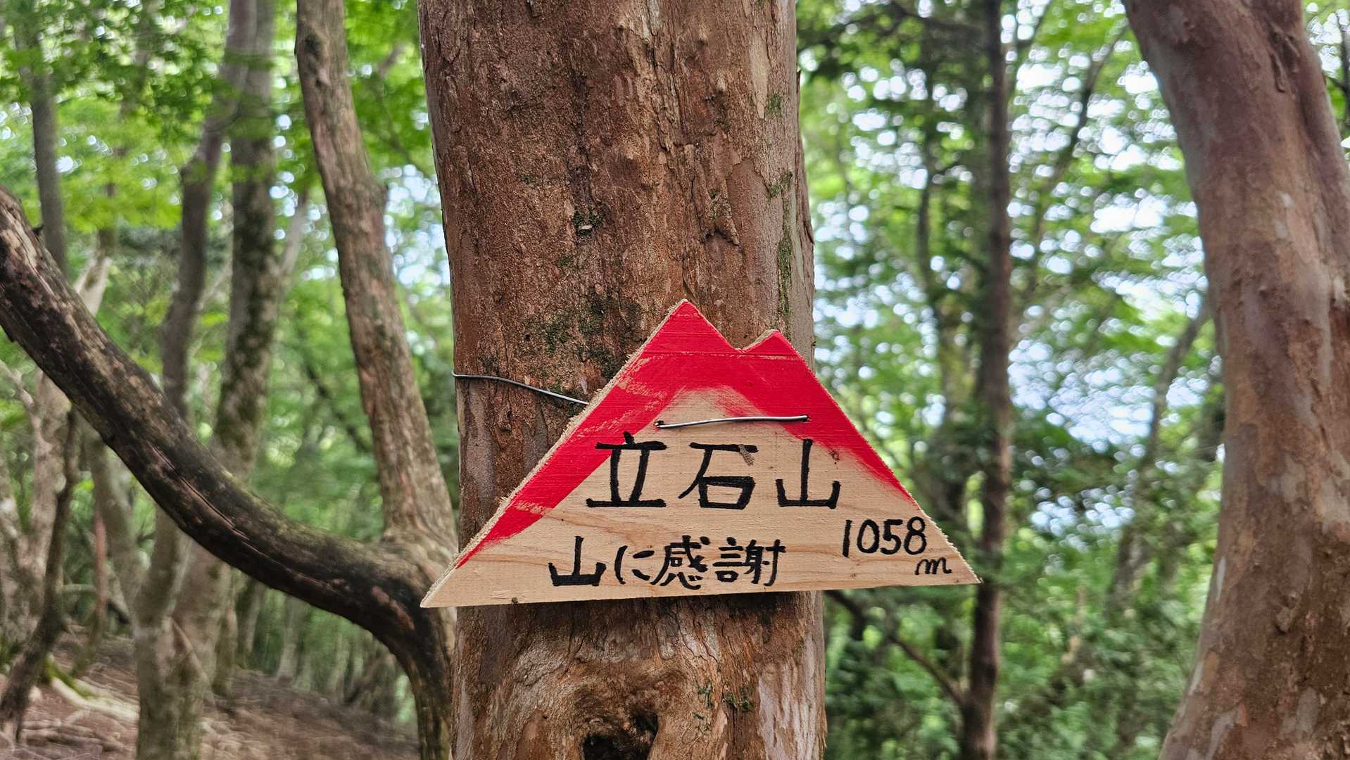 立石山登山口-立石山 往復コースの写真