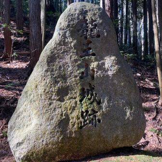 北の城に向かいます