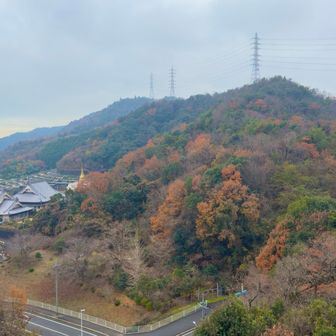 紅葉🍁も残っていてくれた