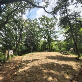 日向山山頂。