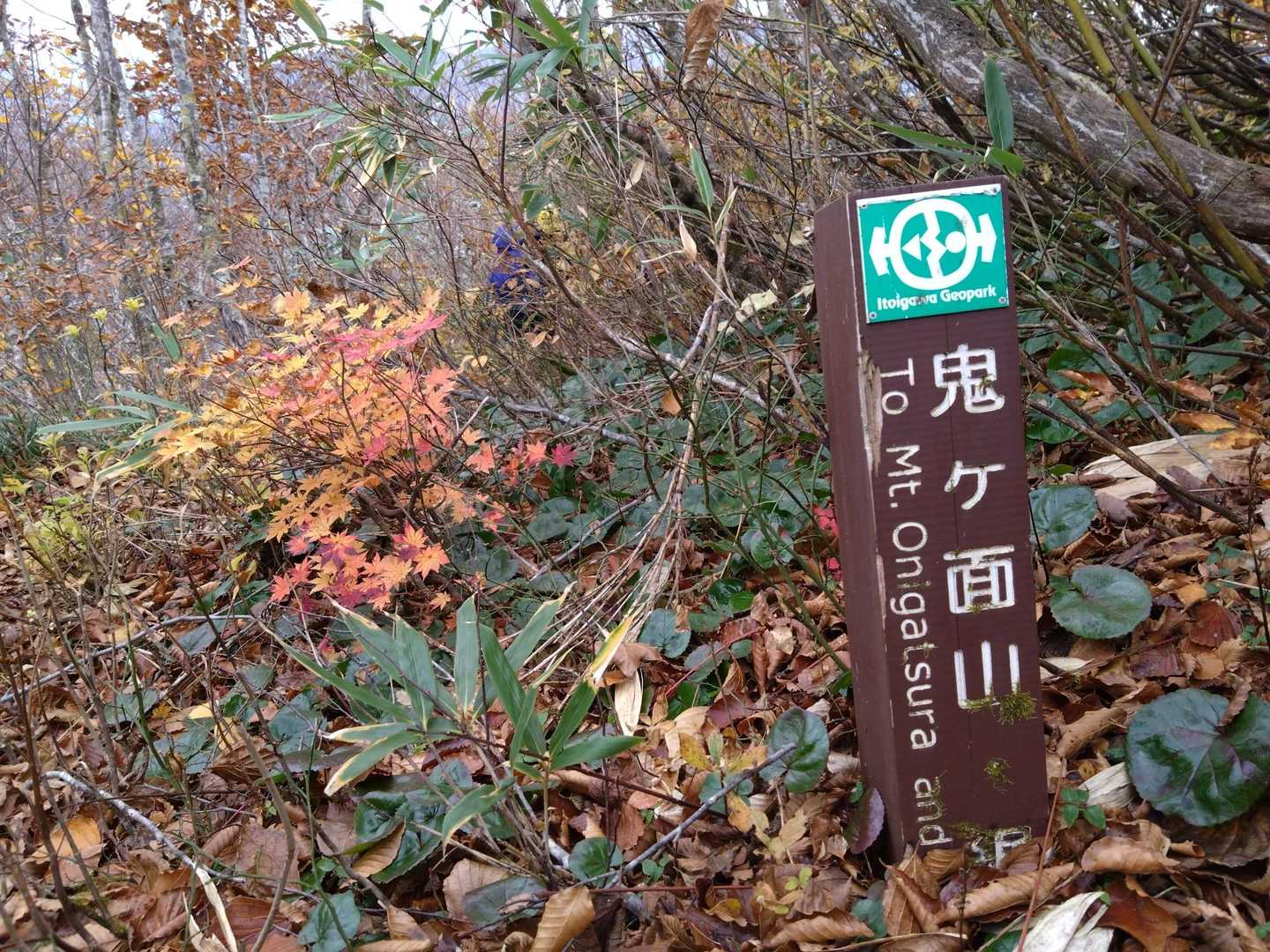 激急降りの始まり

