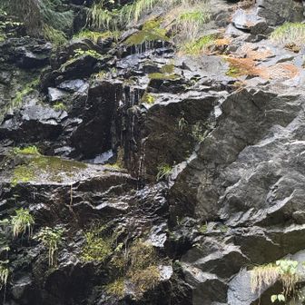 この角度からなら水が流れてるのが分かる。