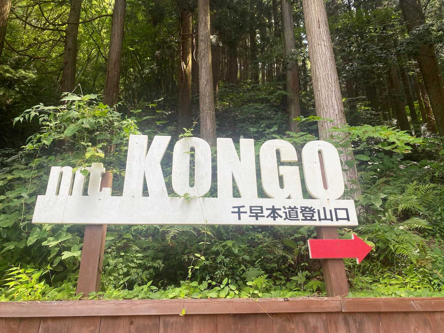 今日は千早本道からlet's go♪