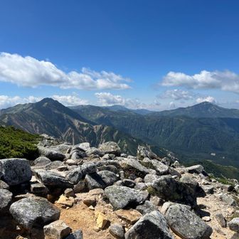 絶景やね