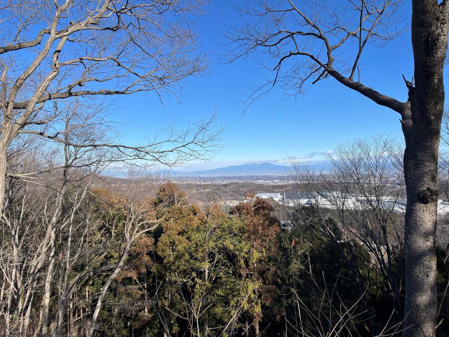 金勝山〜官ノ倉山（団子と焼き鳥と日本酒も） / つるかめさんの官ノ倉山の活動データ | YAMAP / ヤマップ