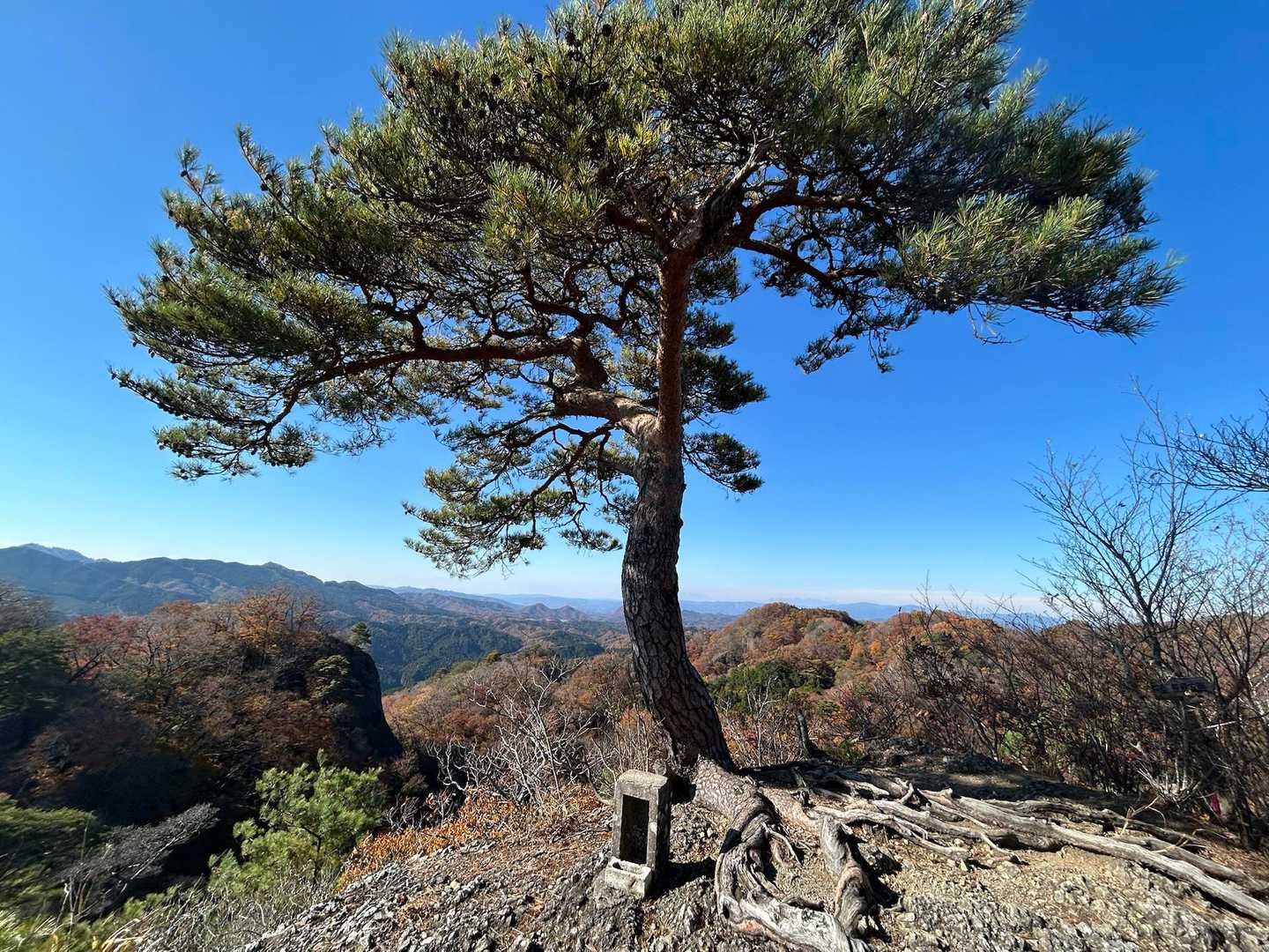 鍋足山 往復コースの写真
