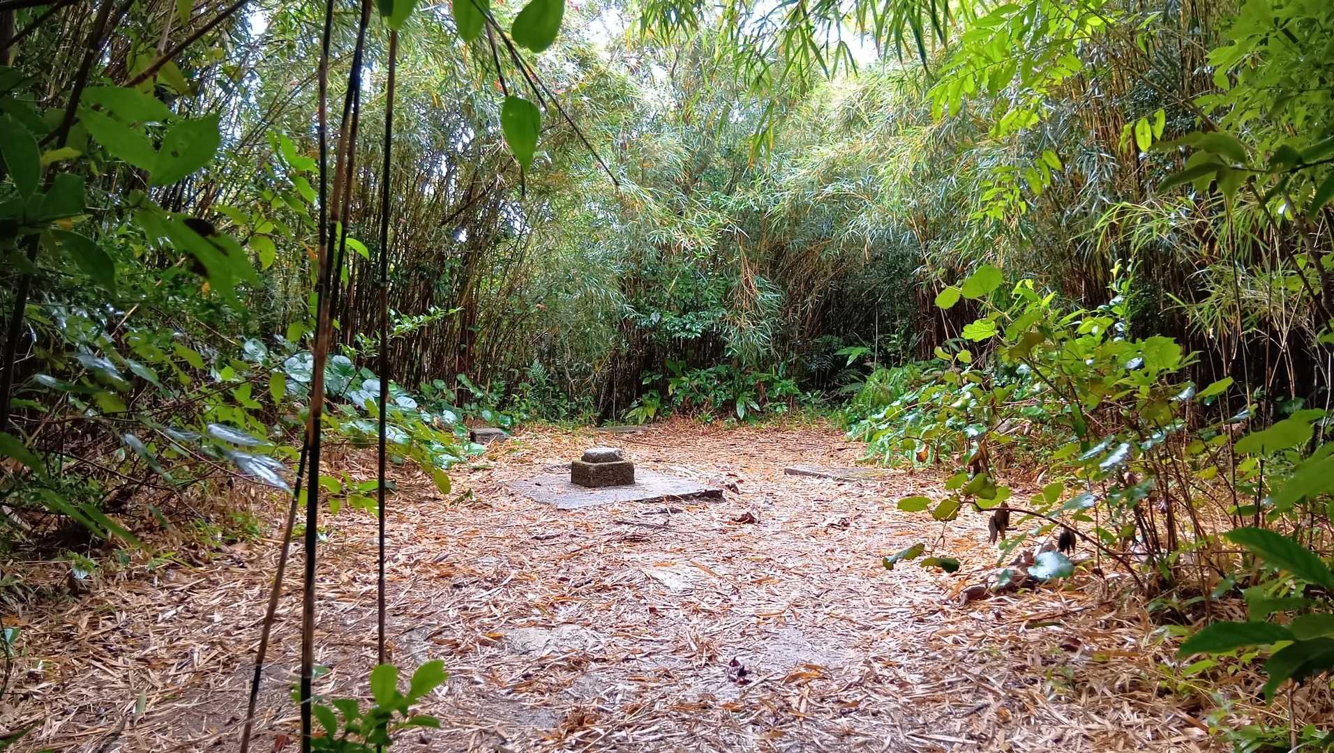 山頂到着。
眺望はありません。

こちらは一等三角点（標高498m）がありますが、1989年の測量で503m地点がほんとの最高地点と確認されたのだとか。