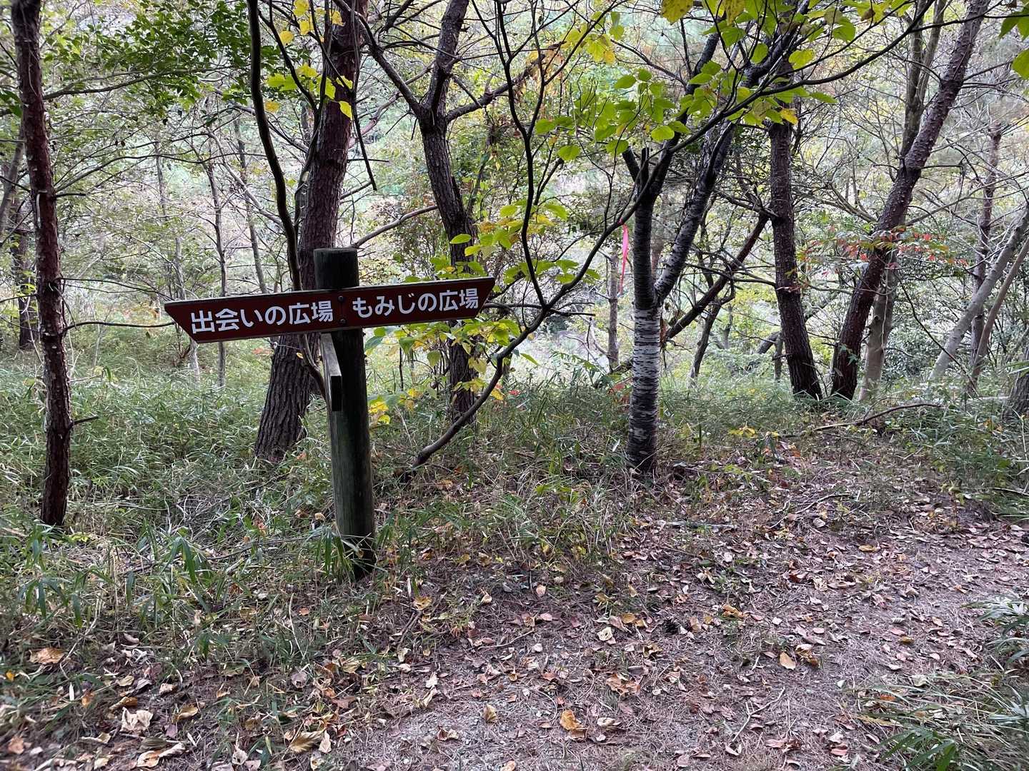 もみじ🍁広場、分からなかったです。