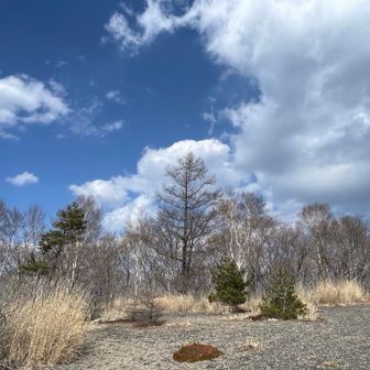 霧氷が綺麗だったポイントも雪なし！