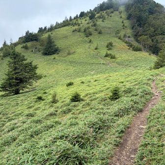 石丸峠から下山予定でしたがトイレがある大菩薩峠に戻りました