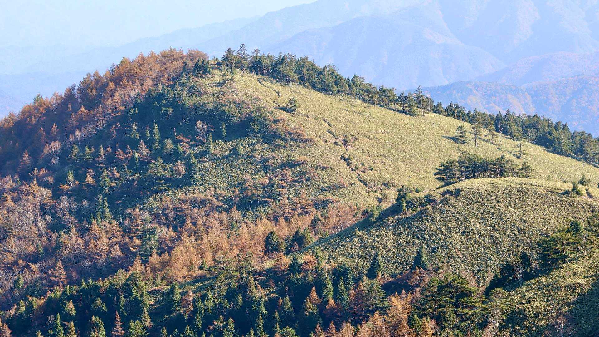富士見台-湯舟沢山-横川山-南沢山-神坂山 周回コースの写真