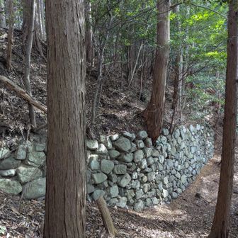 立派な石垣です。