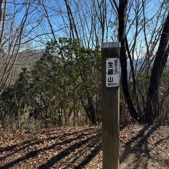 初めて登りましたが、生藤山は樹林帯の日影の多い山です。
温かい季節にも登ってみたいかも。