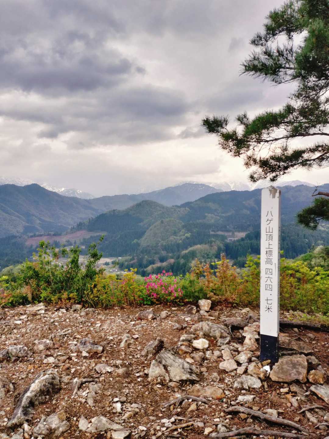 ハゲ山登山口-ハゲ山 往復コースの写真