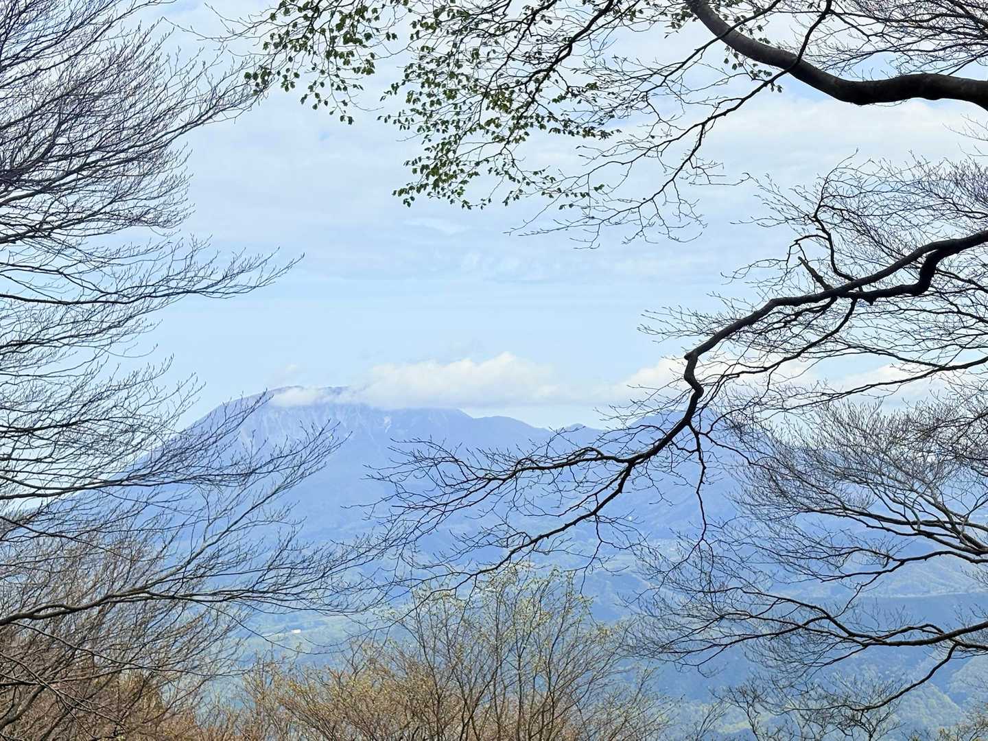 途中、大山の姿が🥰