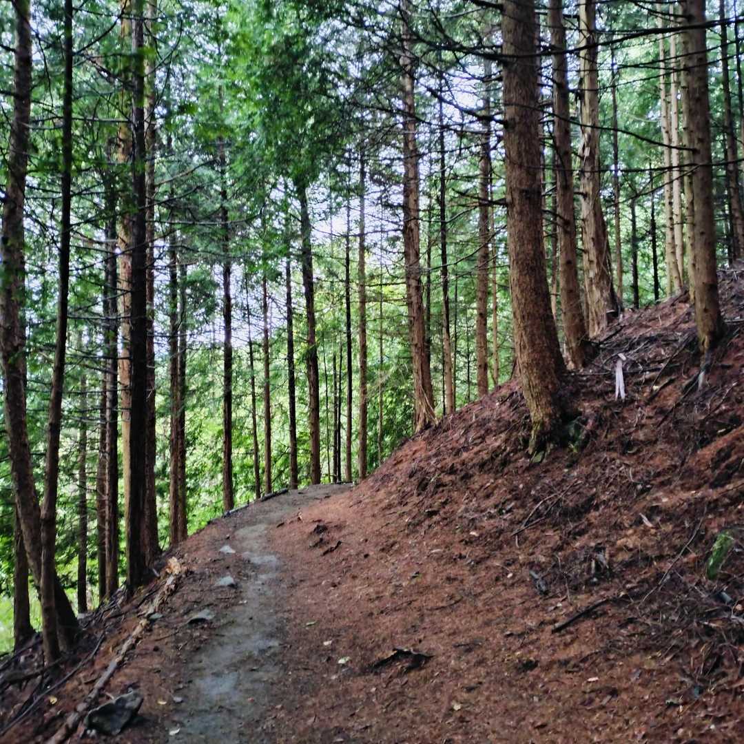 荒山高原登山口-荒山高原-荒山 往復コースの写真