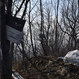 奥三角山登頂🪧