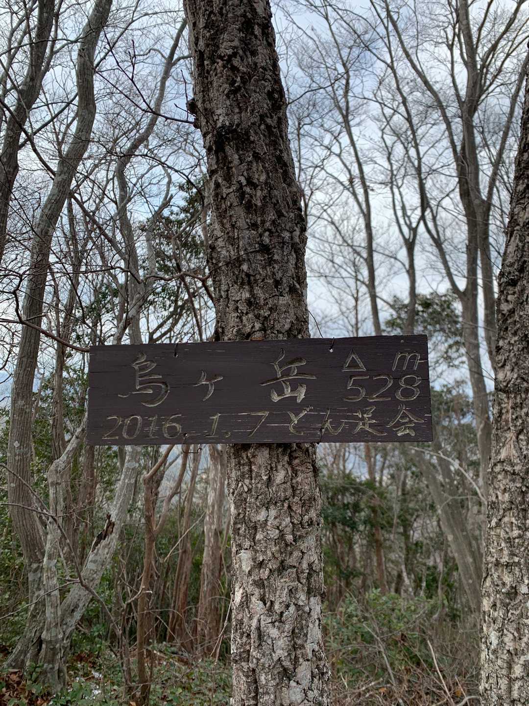 登頂〜