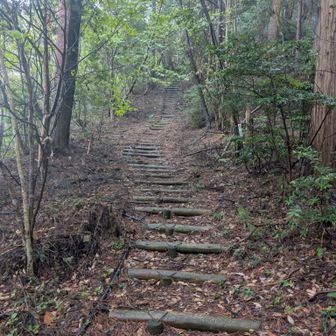 木段登ります