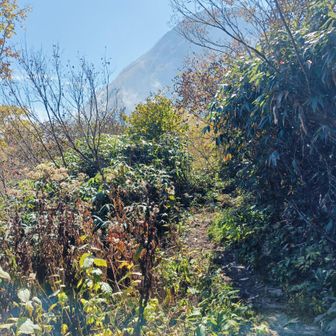 妙高山が