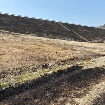 ダム堤防も真っ黒！