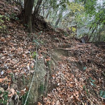 先程登った初沢山より急登で、途中トラロープが3〜4ヶ所に付いています
登りでは使いませんでしたが、落ち葉やザレ場や岩混じりの急斜面なので、降りでは使いました