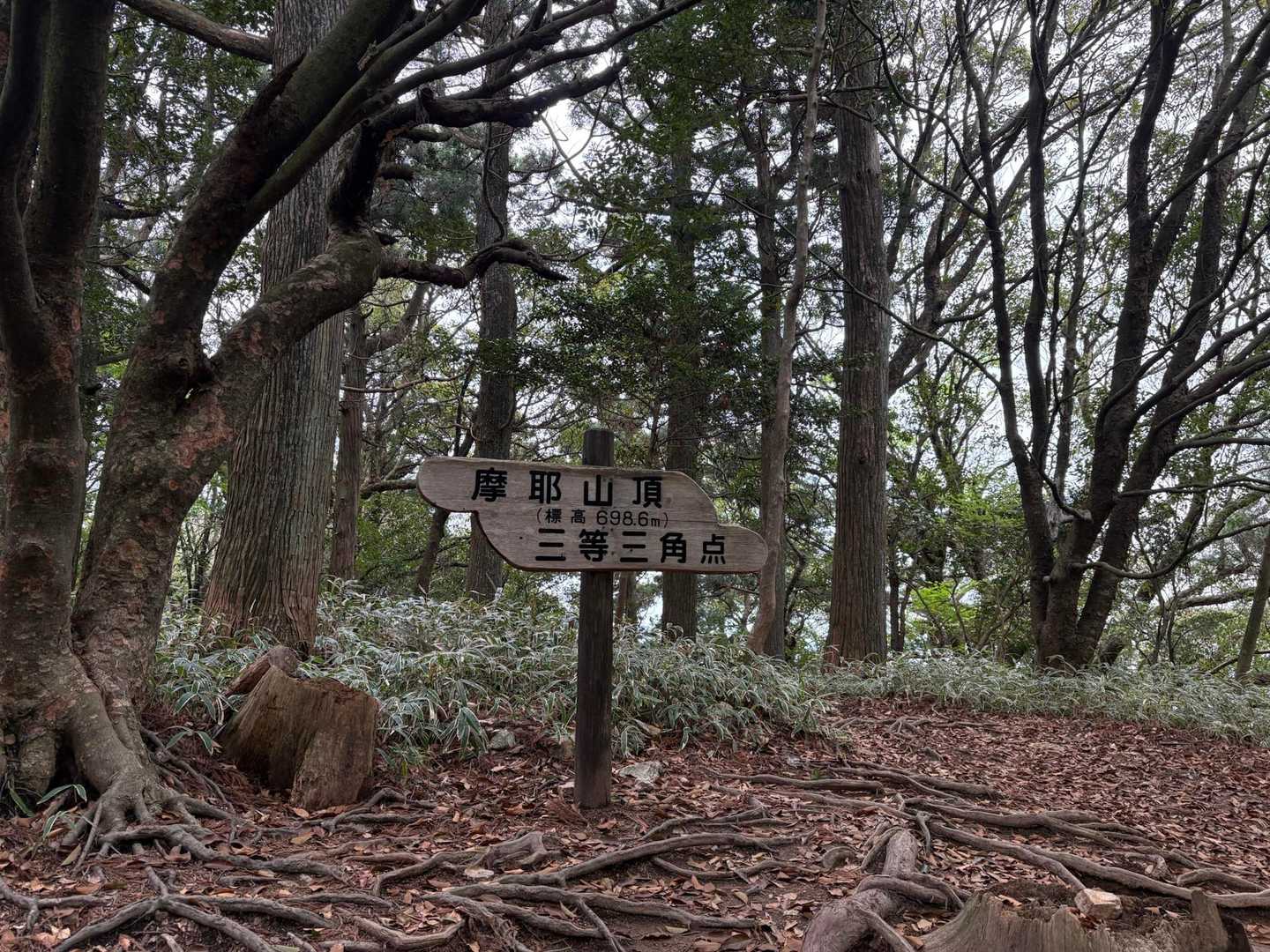 摩耶山⛰️