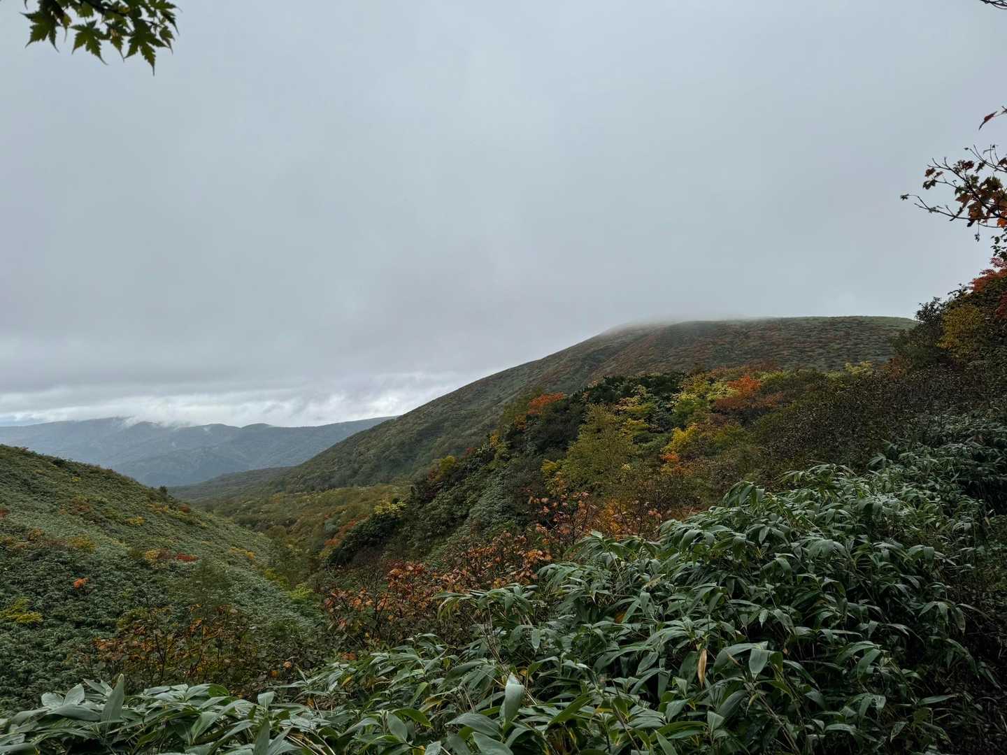 雨は降ってますが、まだ景色見えてます。