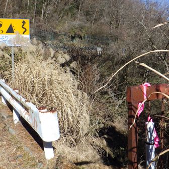 突然車道に出たが、ここをまた山道へ。このピンクテープが目印。ちょっとわかりにくい