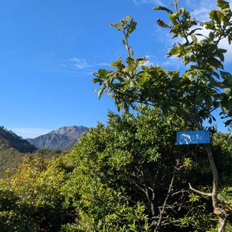 勝田ヶ山の看板と大山。