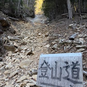 ここを直登するのかと思ってビビった