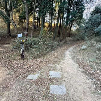 杣谷峠　長峰山・天狗塚方面からくる方も。