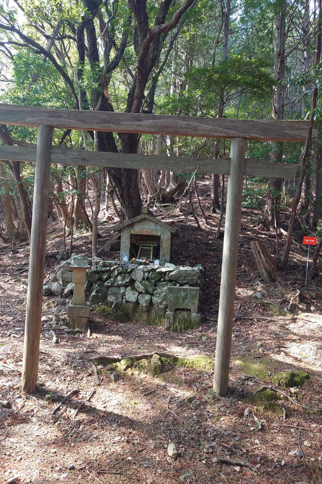 高山登山口-高山 周回コースの写真