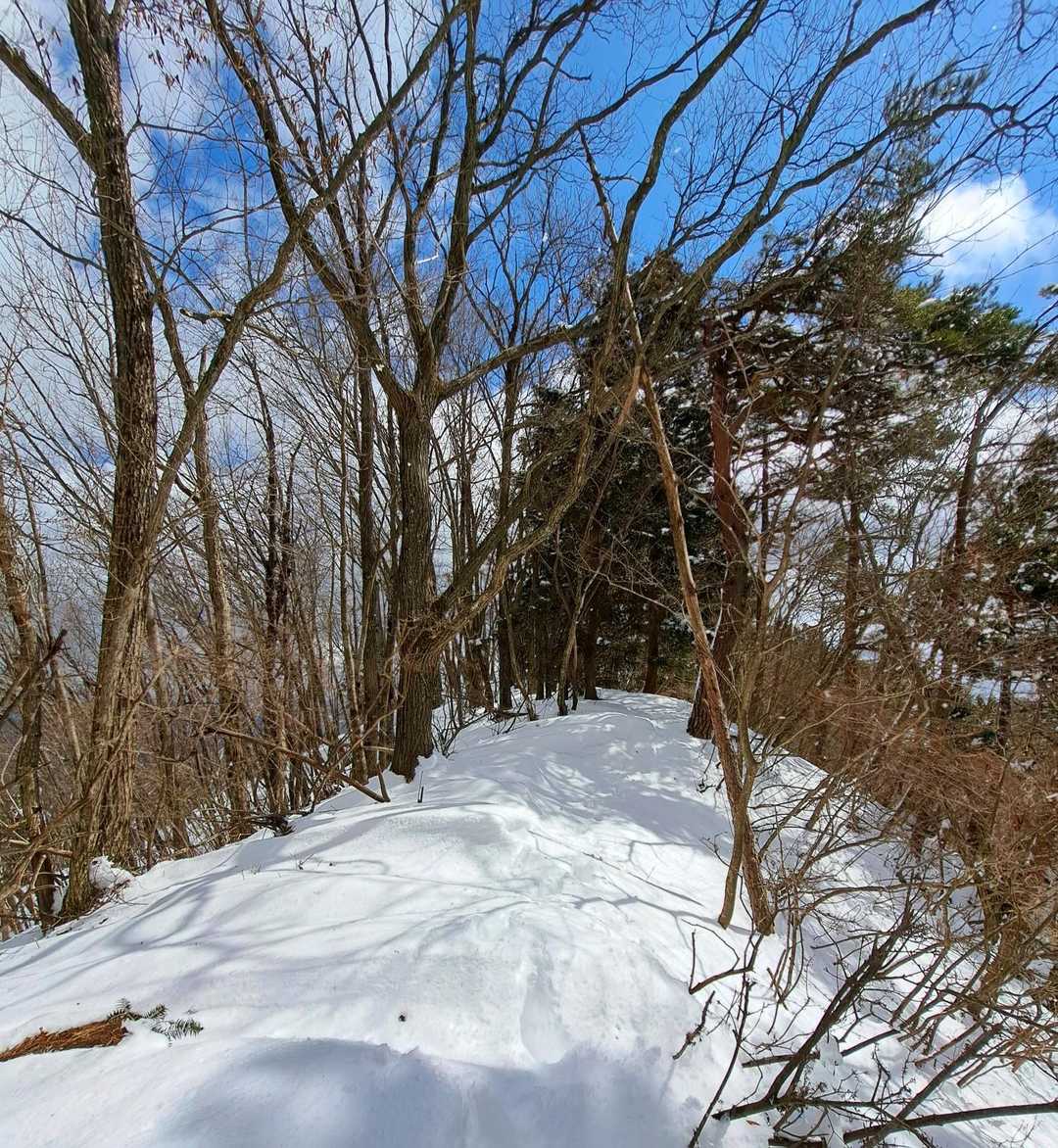 このあたりは膝下くらいの積雪