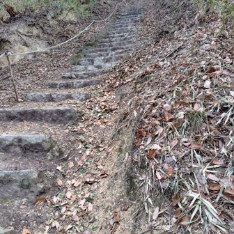 のぉ⋯マタ、カイダン⋯ジゴク