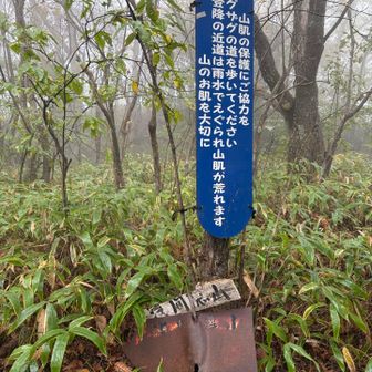 あまり意識したことなかったので、ジグザグ道で進むように心がけます💦
