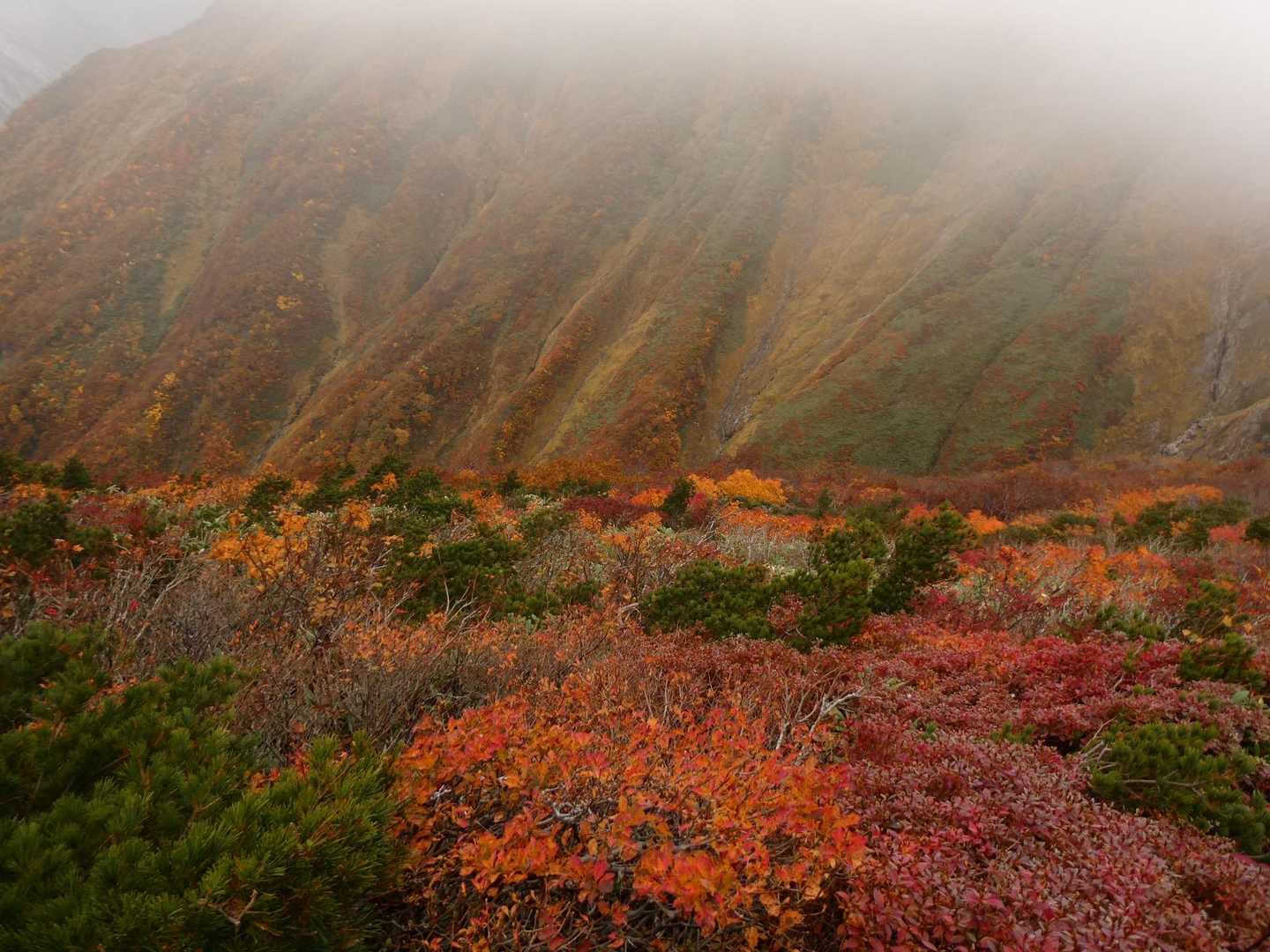 でも少し降るとまた見えてくる色とりどりの山肌