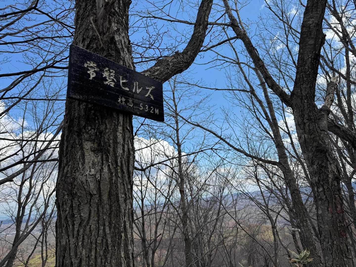 常磐ヒルズ-藤野富士 往復コースの写真