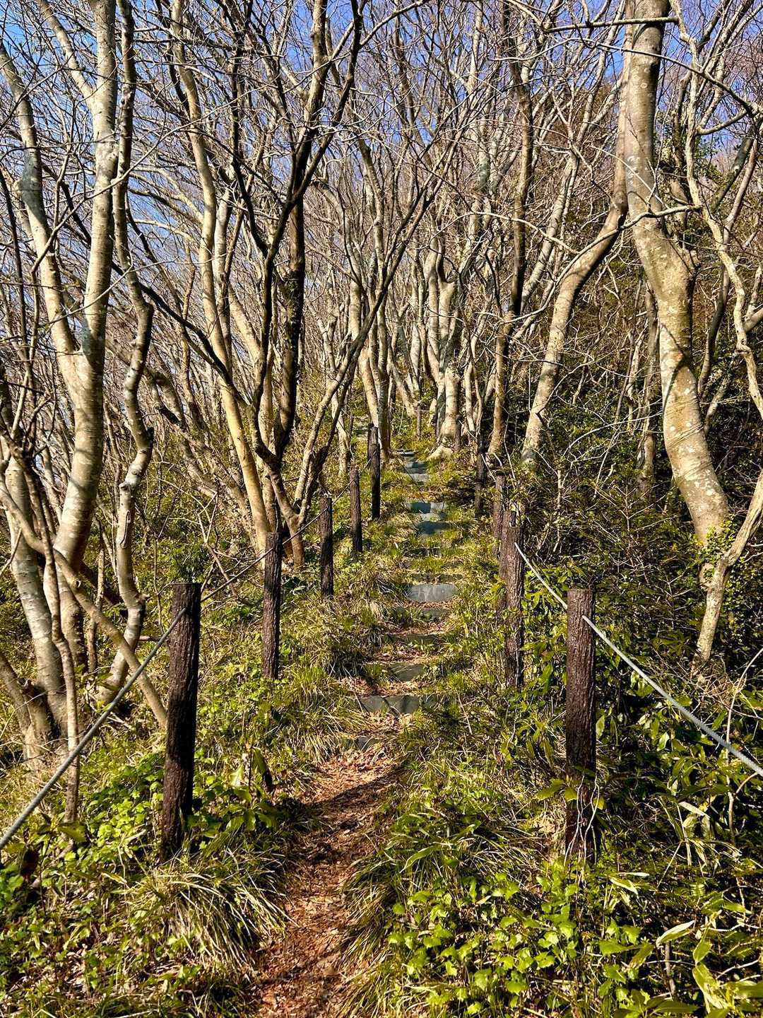西陽さす尾根道✨