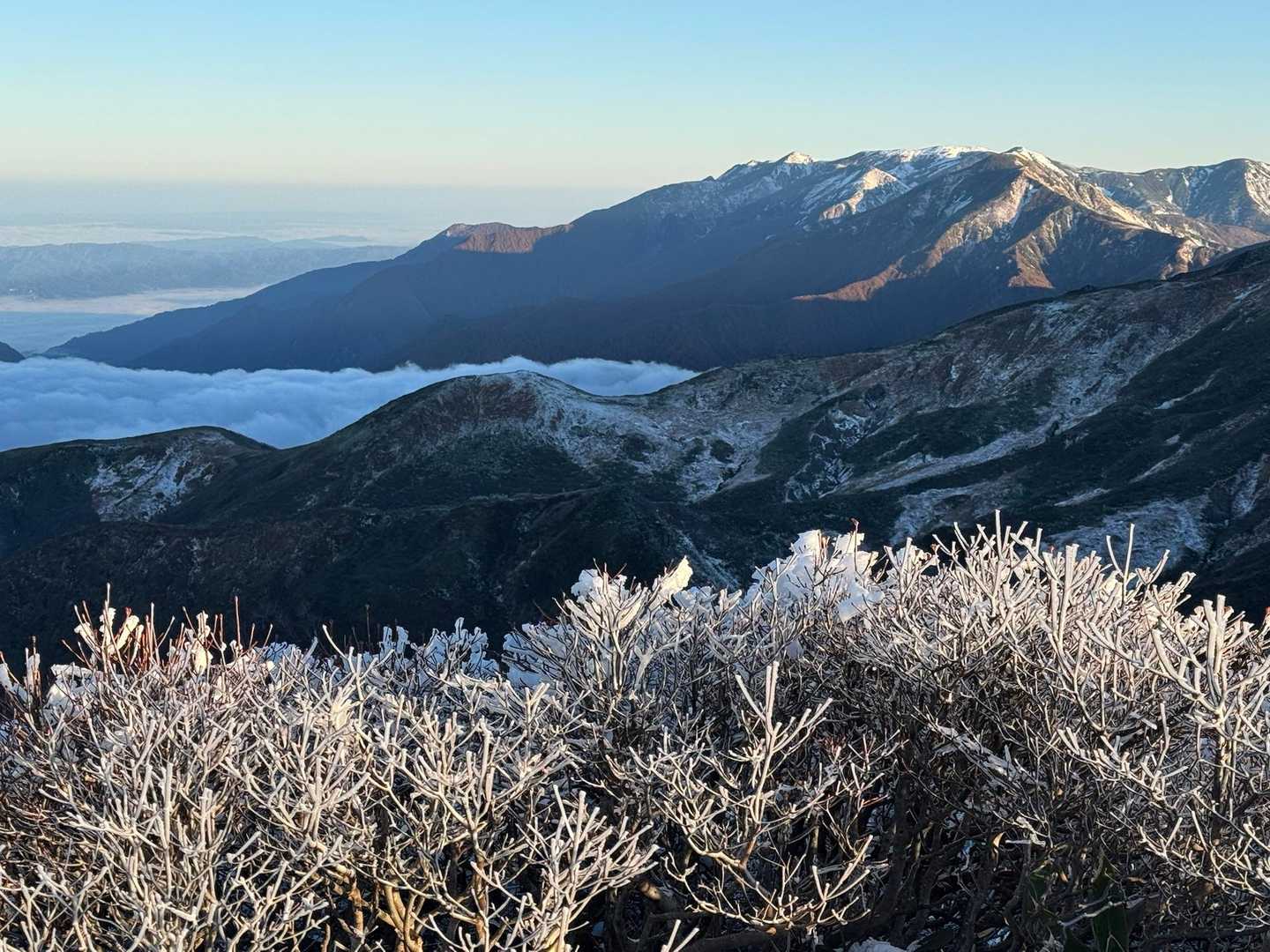 笠ヶ岳の山頂にもエビの尻尾と霧氷です。この辺りはいかに冷たい風が強く吹くのか分かりますね🥶