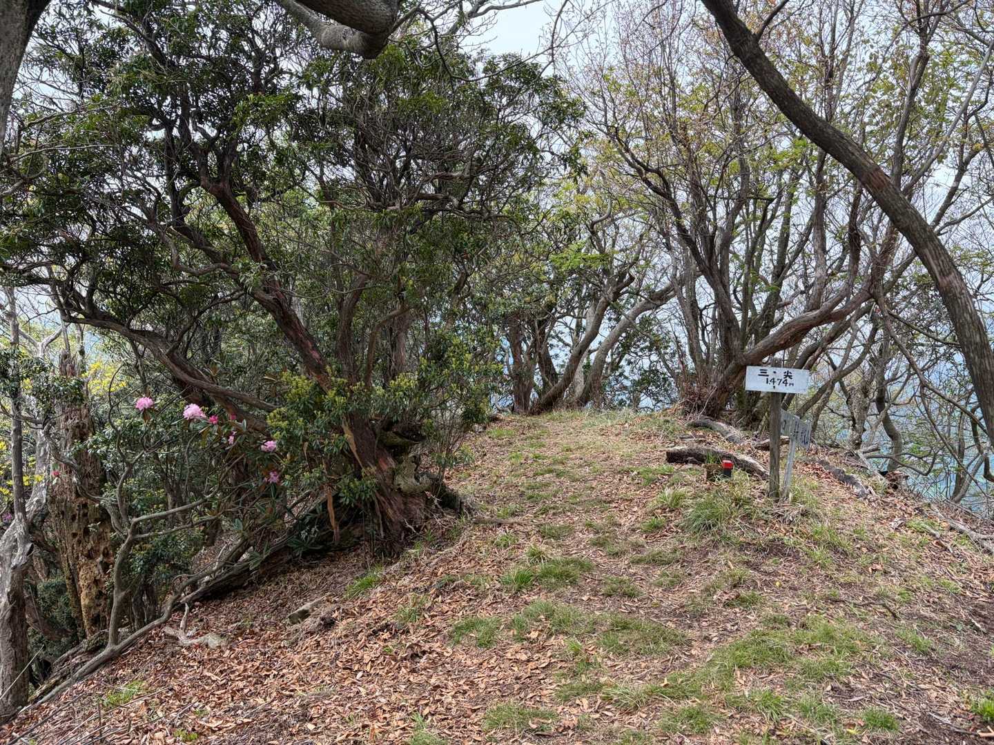 三尖山頂