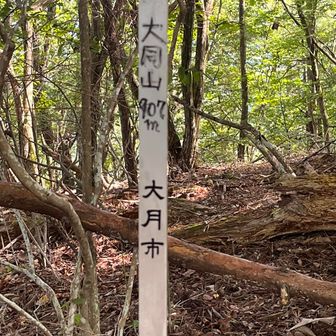 なんともしょぼい山名柱
山頂板無いのかと思ったら