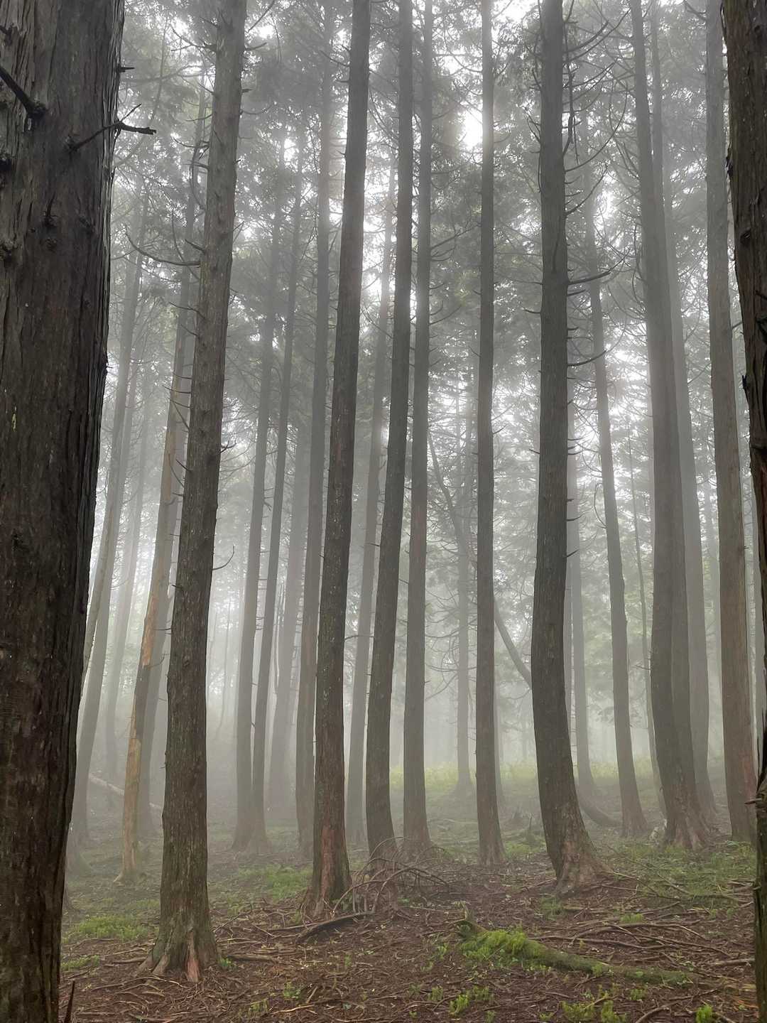 幻想的な景色を楽しみながら下山します