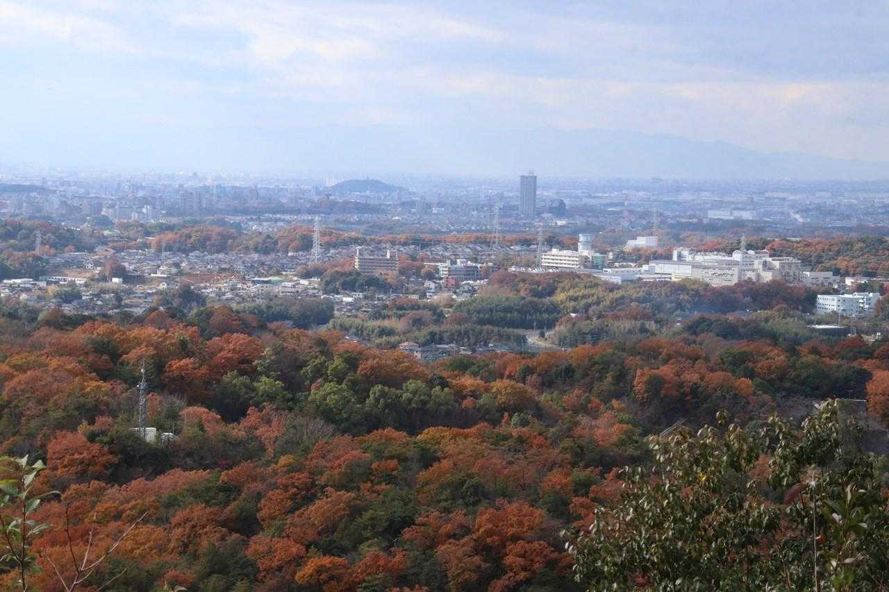 小牧山も見えます