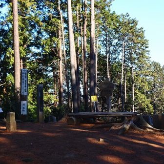 大高取山の山頂に着きました。