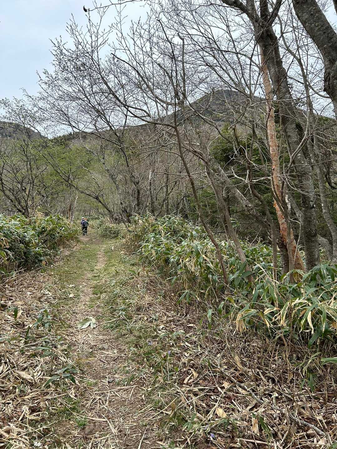 最初はこんな道♬