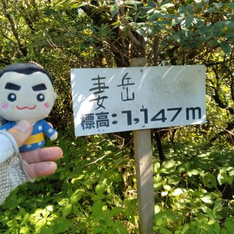 標高点　妻岳山頂