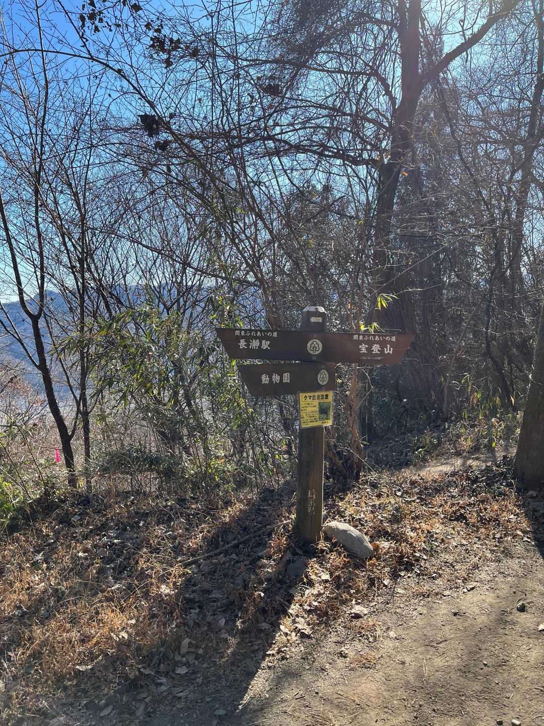 林道のショートカットを以前下山時に使ったので、娘が行けるうちは林道通らずに登ったら、立ち入り禁止区間があったのですね😭
危険箇所はありませんでしたが、自己責任ということでお願いします🚶