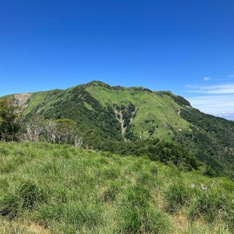カヤハゲからの三嶺。ここからの三嶺、いつ見てもいい。