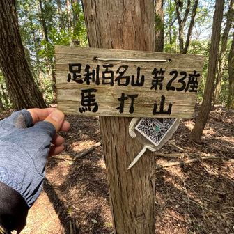 馬打山…ここも勿論展望なしです😁